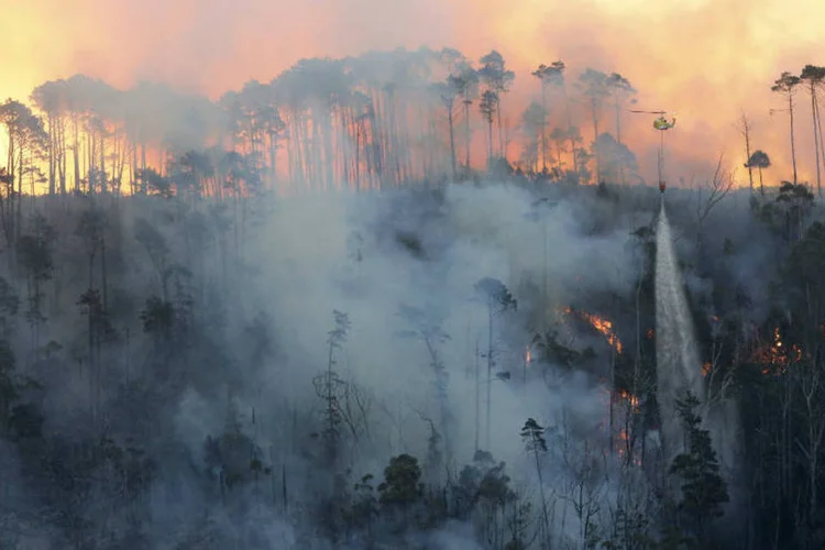 
	Inc&ecirc;ndios: Obama anunciou a libera&ccedil;&atilde;o de fundos federais para combater os inc&ecirc;ndios e para opera&ccedil;&otilde;es de assist&ecirc;ncia no estado
 (Reuters)