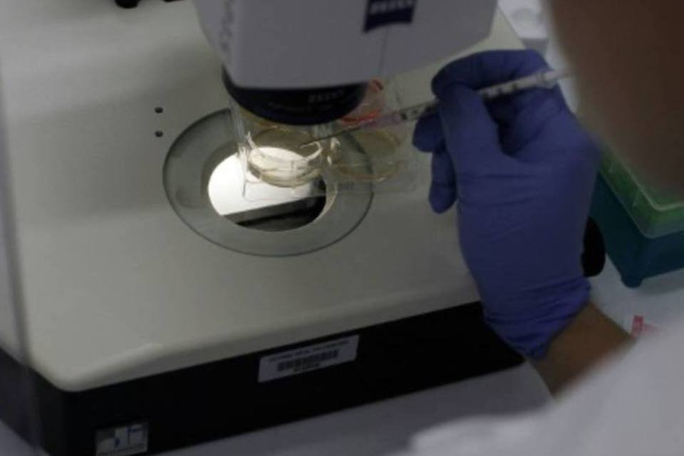 Contágio de zika através de relação sexual já era conhecido