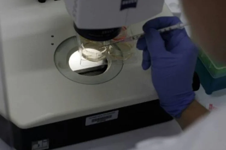
	Zika: &quot;Este seria o segundo caso informado de uma pessoa que adquire o v&iacute;rus desta forma&quot;
 (Getty Images North America/Spencer Platt/AFP/Getty Images)
