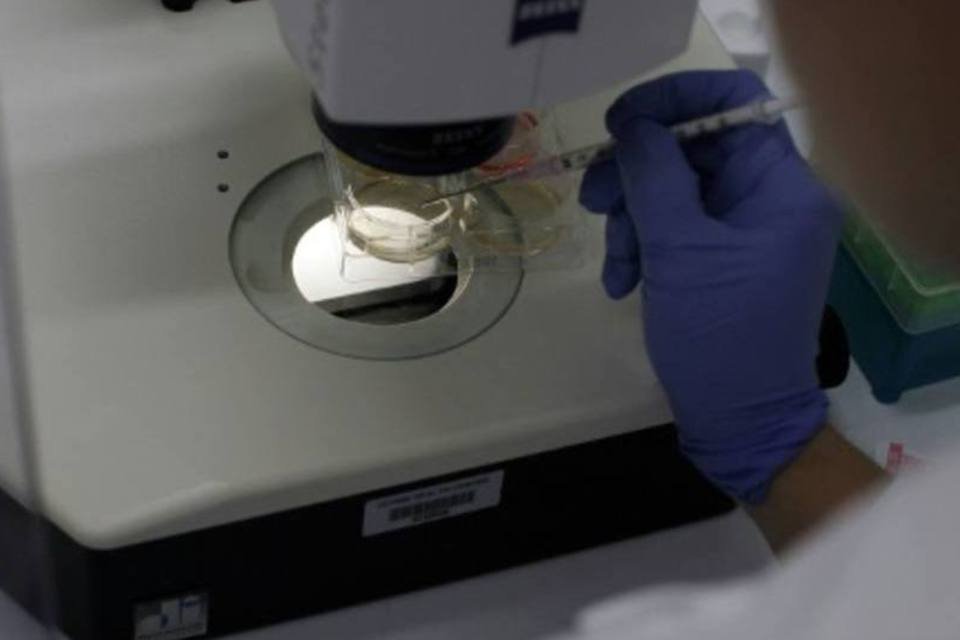 Cientista faz análise em laboratório (Getty Images North America/Spencer Platt/AFP)