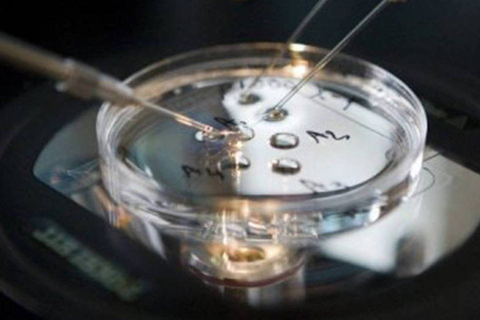 Morreu o cientista que fez primeira fertilização in vitro