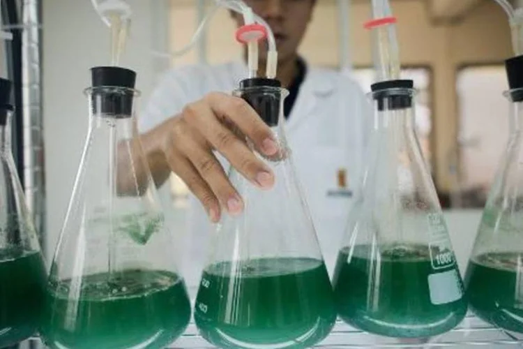 
	Cientistas est&atilde;o se organizando pelas redes sociais: a pesquisa ser&aacute; financiada por crowdfunding
 (Nicolas Asfouri/AFP)