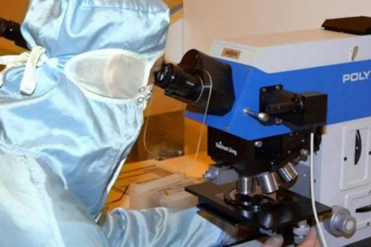 Por enquanto, os sensores na roupa foram testados em um manequim e se observou que podem detectar de forma direta a composição do suor artificial (©AFP/Arquivo / Jean-Pierre Clatot)