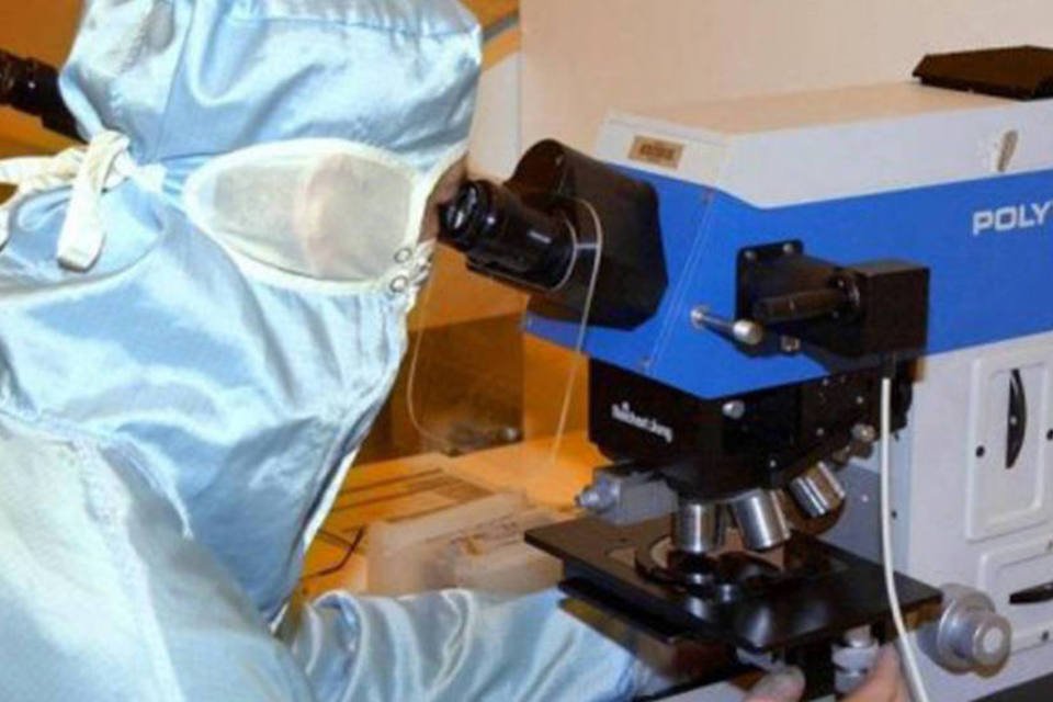 EUA fazem teste promissor de nanopartículas anticâncer
