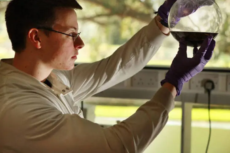 
	Meta &eacute; atrair cientistas de renome, a fim de que coordenem projetos tem&aacute;ticos em universidades e laborat&oacute;rios paulistas
 (Getty Images)