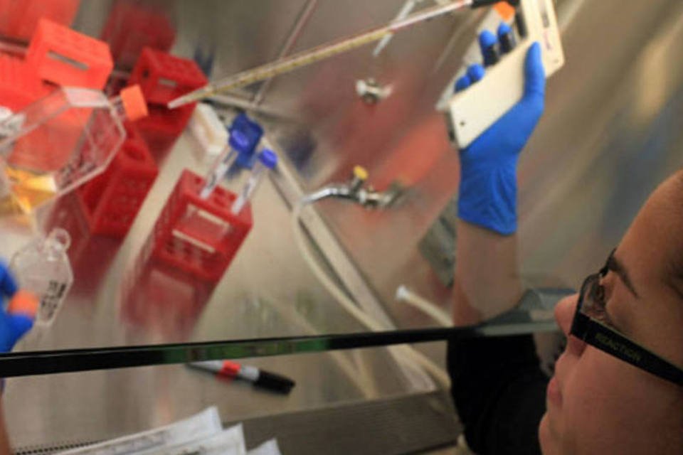 Superbactéria já infectou 8 pacientes em Santa Maria-RS