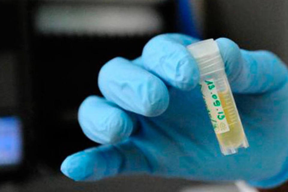 Cientistas produzem cromossomo artificial de levedura