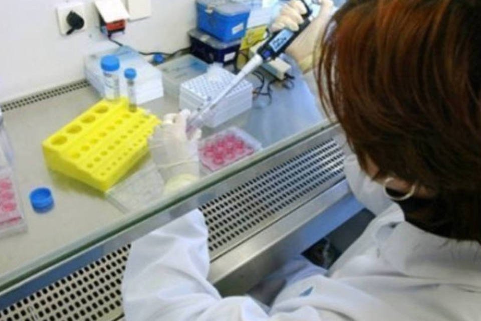 EUA suspende proibição de pesquisas com células-tronco