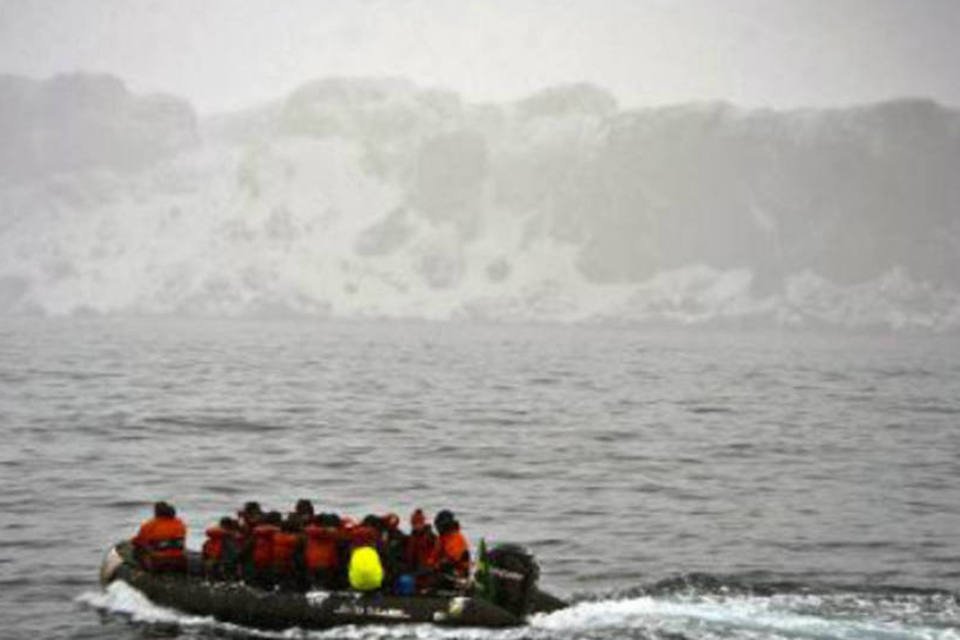 Cientistas revelam potencial da biodiversidade antártica