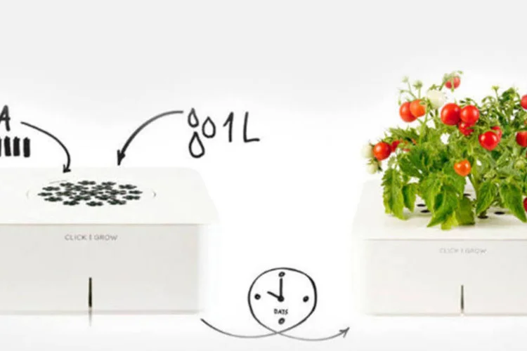 Vaso eletrônico Click and Grow: todos os modelos estão a venda com preços que variam de U$ 19,00 a U$ 79,00 (Divulgação)