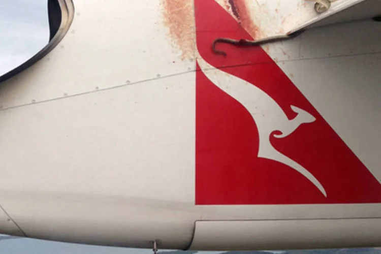 
	Cobra python na asa de um avi&atilde;o da Qantas: animal, infelizmente, chegou morta ao destino
 (Robert Weber/oldplantation.com.pg/Divulgação)