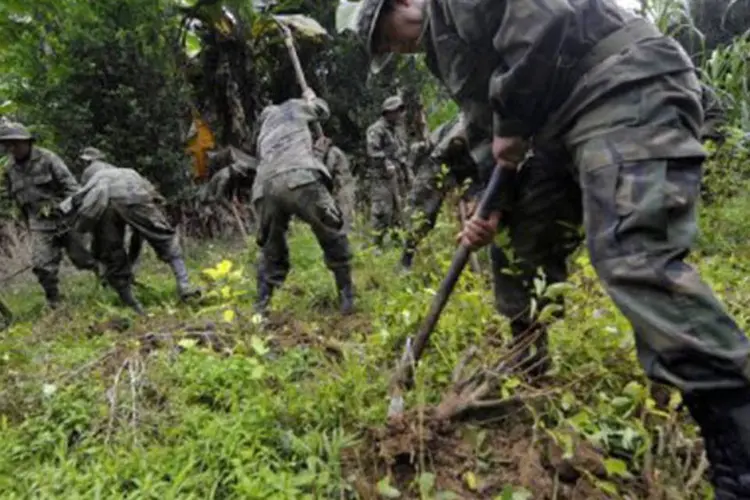 
	Soldados destroem planta&ccedil;&otilde;es de coca em uma floresta em Caranavi, na Bol&iacute;via: para o per&iacute;odo 2014-2020, a UE avalia um apoio mais amplo nas a&ccedil;&otilde;es policiais contra as drogas
 (Aizar Raldes/AFP)