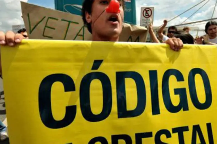As principais vítimas das ameaças são ativistas que contestam o desmatamento ilegal da floresta amazônica (Pedro Ladeira/AFP)