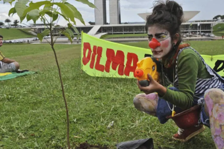 Manifestantes plantaram mudas de árvores no gramado em frente ao Congresso Nacional como forma de protesto contra a votação do Código Florestal (Fabio Rodrigues Pozzebom/ABr)