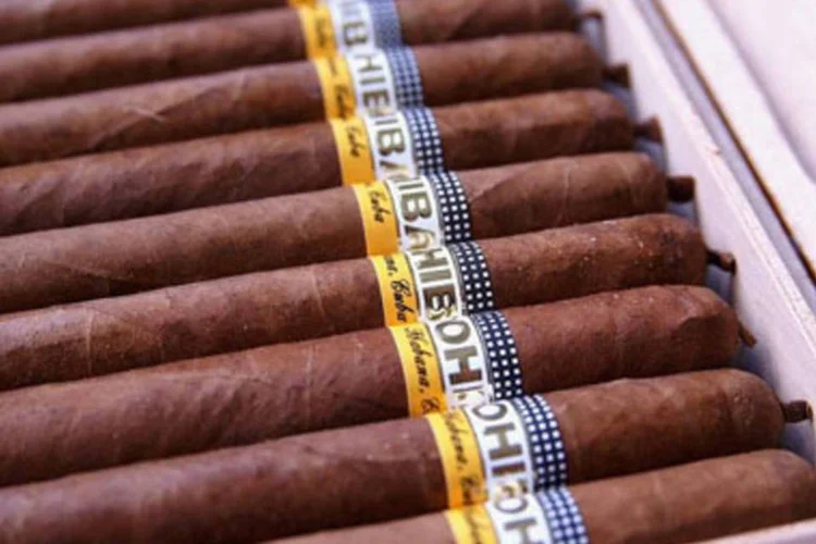 cohiba-jpg.jpg (.)