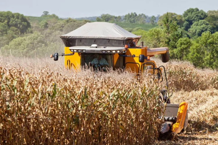 
	M&aacute;quina realiza a coleita de milho em uma fazenda em Peju&ccedil;ara, no Rio Grande do Sul
 (Pedro Revillion/Palácio Piratini)