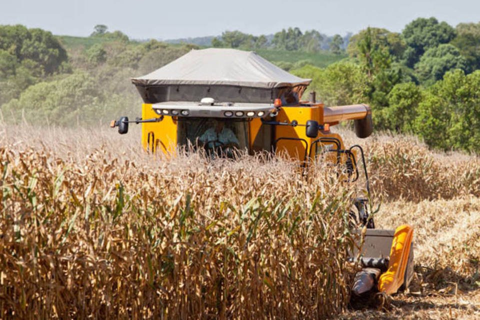 Brasil deve exportar até 2,7 mi t/mês de milho até dezembro