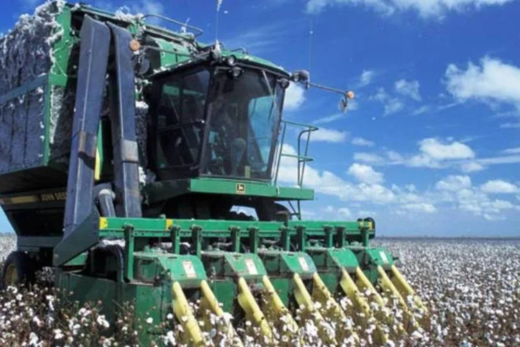 Colheita de algodão: o Plano Agrícola e Pecuário dispõe de R$ 115,2 bilhões para ser usado pelo médio produtor rural, no cooperativismo e na produção sustentável (David Nance/Wikimedia Commons)