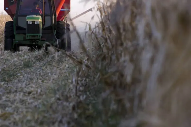 Fazendeiro trabalha na colheita de milho em Ines Indart, na Argentina (Diego Giudice/Bloomberg)