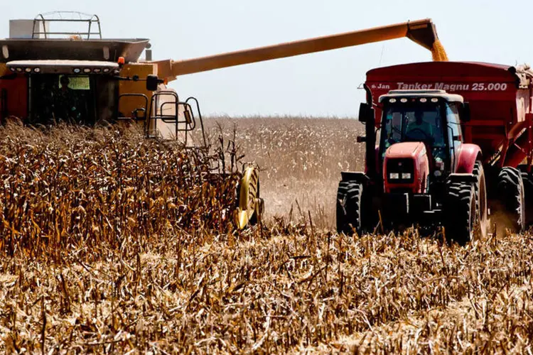 
	Colheita de milho no Mato Grosso: segmento agropecu&aacute;rio foi o respons&aacute;vel pela alta dos pre&ccedil;os das commodities, com &iacute;ndice em 7,69%
 (Mayke Toscano/Secom-MT)