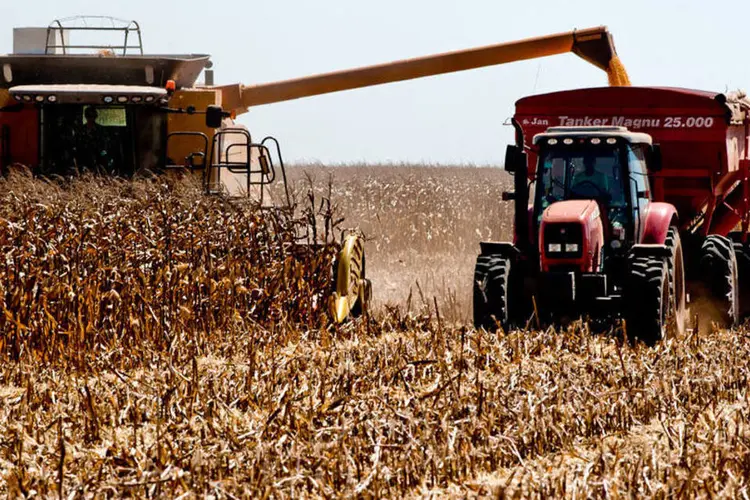 
	Colheita de milho: colheita recorde nos EUA, estimada em 14,5 bilh&otilde;es de bushels, levou o milho a ser negociado perto de 3,50 d&oacute;lares por bushel
 (Mayke Toscano/Secom-MT)
