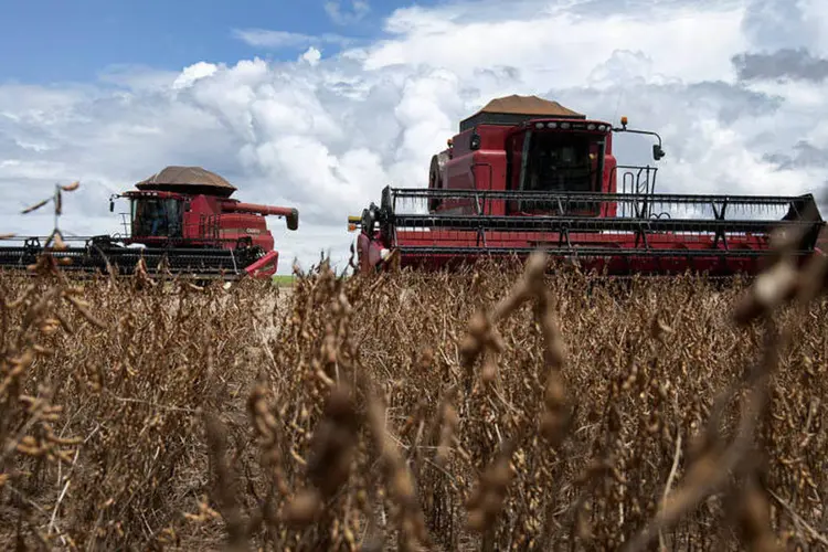 Máquinas realizam a colheita da soja em uma fazenda próxima de Tangará da Serra, no Mato Grosso (Paulo Fridman/Bloomberg)
