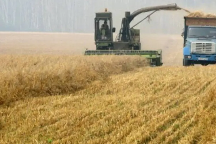 Ministro da Agricultura, Blairo Maggi, projetou nesta segunda-feira que a produção de grãos do país aumentará 29,6 por cento até a safra 2027/28 (Yuri Kadobnov/AFP)