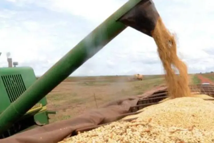 
	Agricultura: soja, o milho e o arroz, nessa ordem os principais produtos do pa&iacute;s, representar&atilde;o juntos 91,5% da produ&ccedil;&atilde;o brasileira de gr&atilde;os e 85,3% da &aacute;rea colhida
 (Arquivo/Agência Brasil)