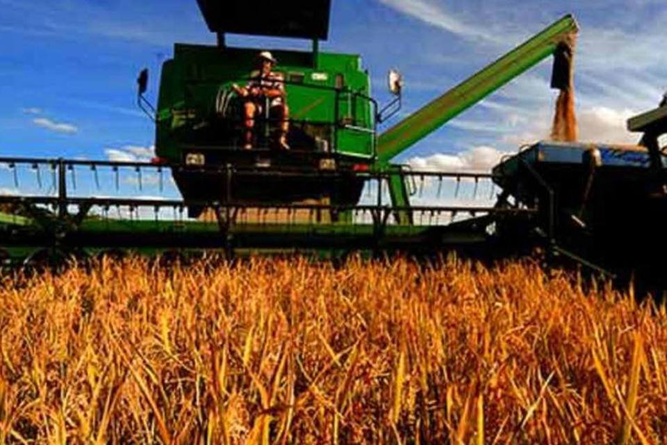 Produção agropecuária é destaque no PIB do 1º trimestre