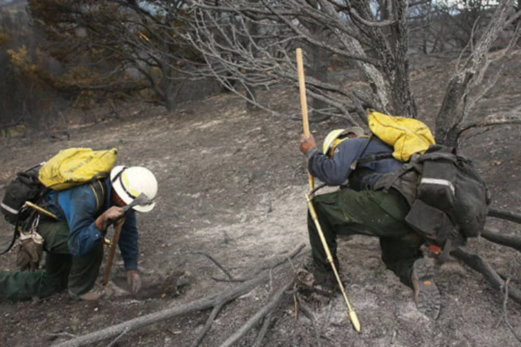 Um grupo local de bombeiros procura focos de incêndio próximo a moradias de Cedar Heights, bairro evacuado devido ao fogo (Spencer Platt/Getty Images)