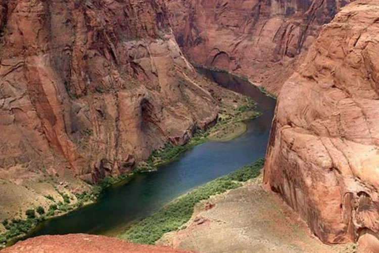 
	Grande Canyon: altos n&iacute;veis de sel&ecirc;nio e merc&uacute;rio afeta reprodu&ccedil;&atilde;o e crescimento dos animais selvagens
 (Getty Images)