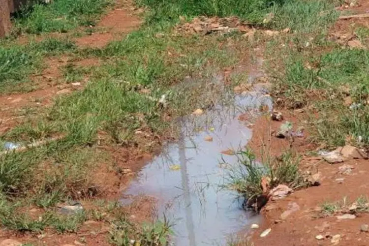 Agente de Saúde faz vistoria em vala na rua, como forma de combater possíveis focos do mosquito transmissor da dengue (Roosewelt Pinheiro/ABr)