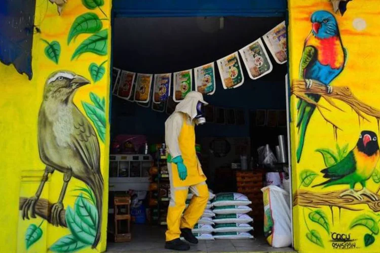 
	Agente de sa&uacute;de trabalha no combate ao Aedes aegypti, em SP
 (Rovena Rosa / Agência Brasil)
