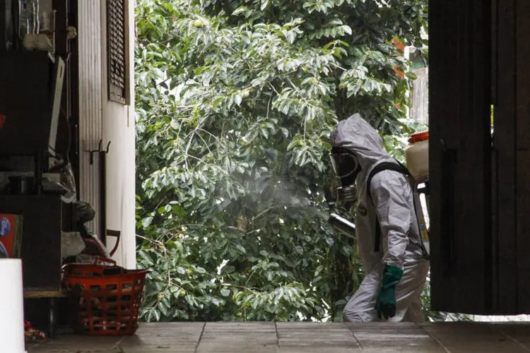 Agente aplica inseticida contra Aedes  em bairro de Porto Alegre (RS): inseticidas e brasileiros cuidando do jardim não vão estancar surto de dengue (Cristine Rochol/ PMPA)