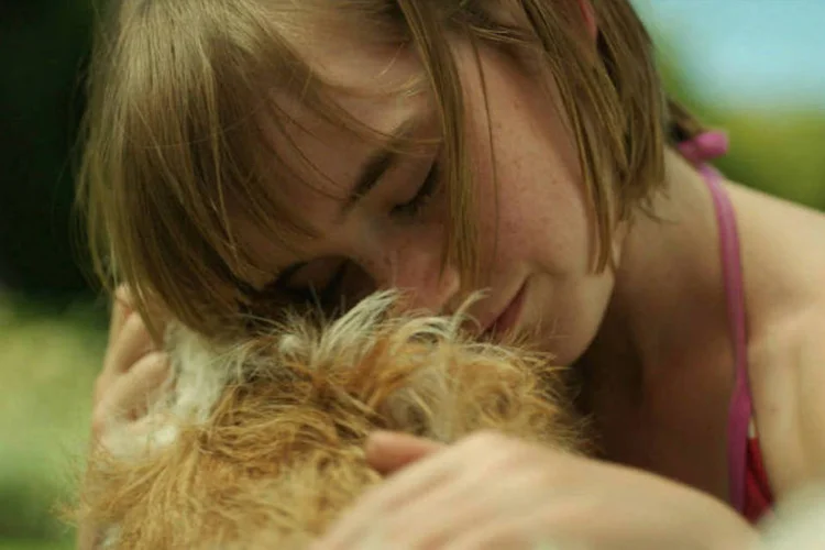 Comercial da HomeAway: duas versões da história de um cachorro e sua família (Reprodução)
