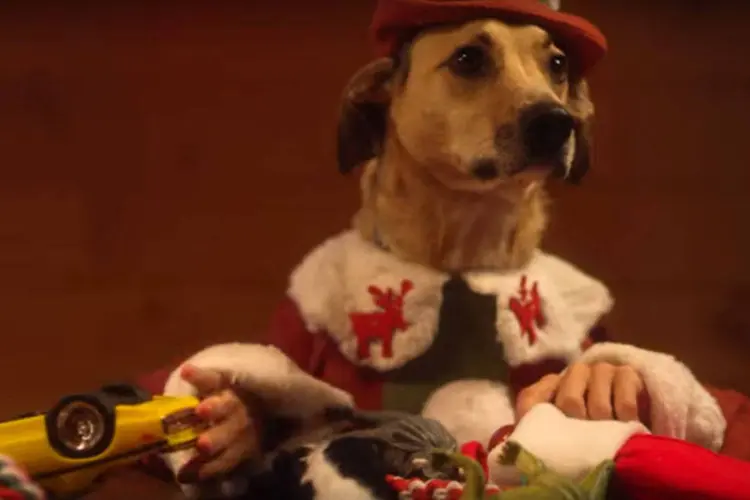 Comercial da Freshpet: animais e humanos em campanha de Natal (Reprodução)