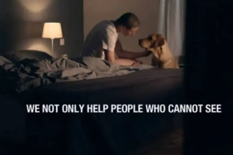 Comercial da Royal Dutch Guide Dog Foundation: a KNGF oferece cães treinados para ajudar soldados veteranos (Reprodução/YouTube/KNGFGeleidehonden)