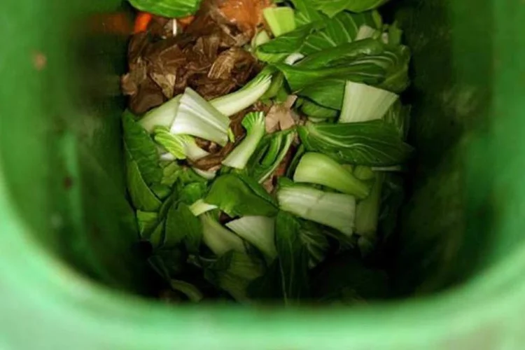 
	Desperd&iacute;cio: alimentos desperdi&ccedil;ados seriam suficientes para satisfazer as necessidades alimentares de 300 milh&otilde;es de pessoas
 (Getty Images)