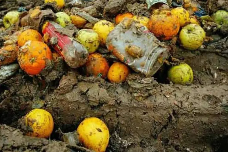 
	Alimentos no lixo: segundo a FAO, a crescente popula&ccedil;&atilde;o mundial poderia ser alimentada se um ter&ccedil;o dos alimentos produzidos n&atilde;o fosse desperdi&ccedil;ado
 (Getty Images)