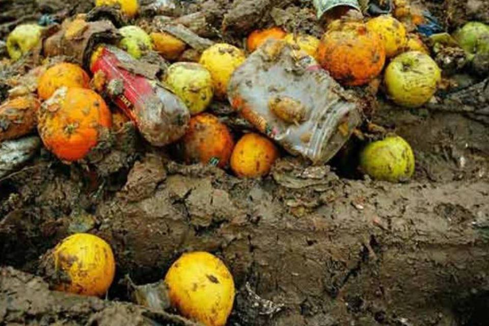 Mundo joga fora um terço dos alimentos que produz por ano