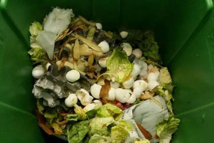 
	Restos de alimentos: foram encontrados&nbsp;50 quilos de alimentos vencidos no hotel
 (Getty Images)