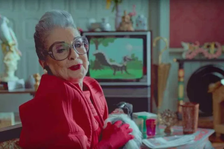 
	Comercial do Conar: com o tom de humor, o v&iacute;deo mostra a hist&oacute;ria de uma senhora e seu controverso animal de estima&ccedil;&atilde;o
 (Reprodução/Youtube)