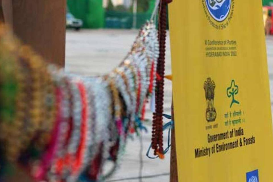 Ministros de 100 países podem solucionar impasse na COP11