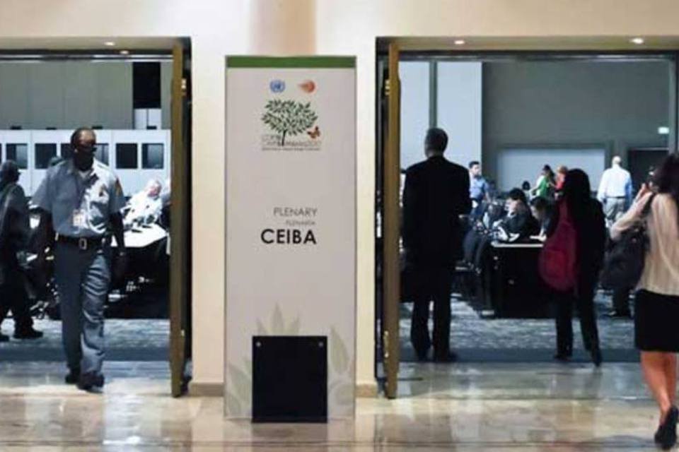 Brasil anuncia meta formal em Conferência do Clima