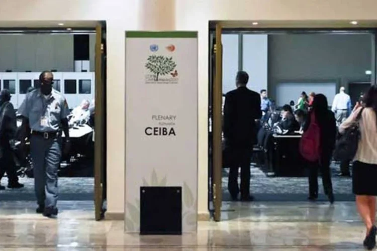 Movimentação na COP16: não deve haver tratado climático de cumprimento obrigatório (Divulgação/COP16)