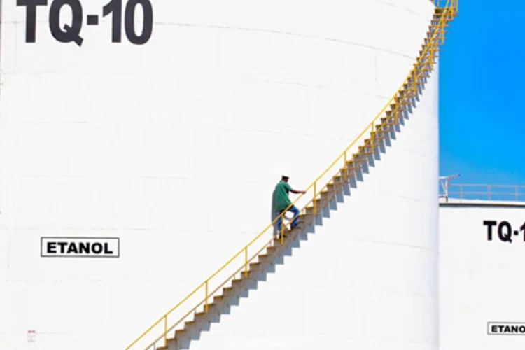 
	Copersucar: para 2013/14, foi estimado um excedente global de 3 milh&otilde;es de toneladass
 (Tadeu Fessel/Divulgação)