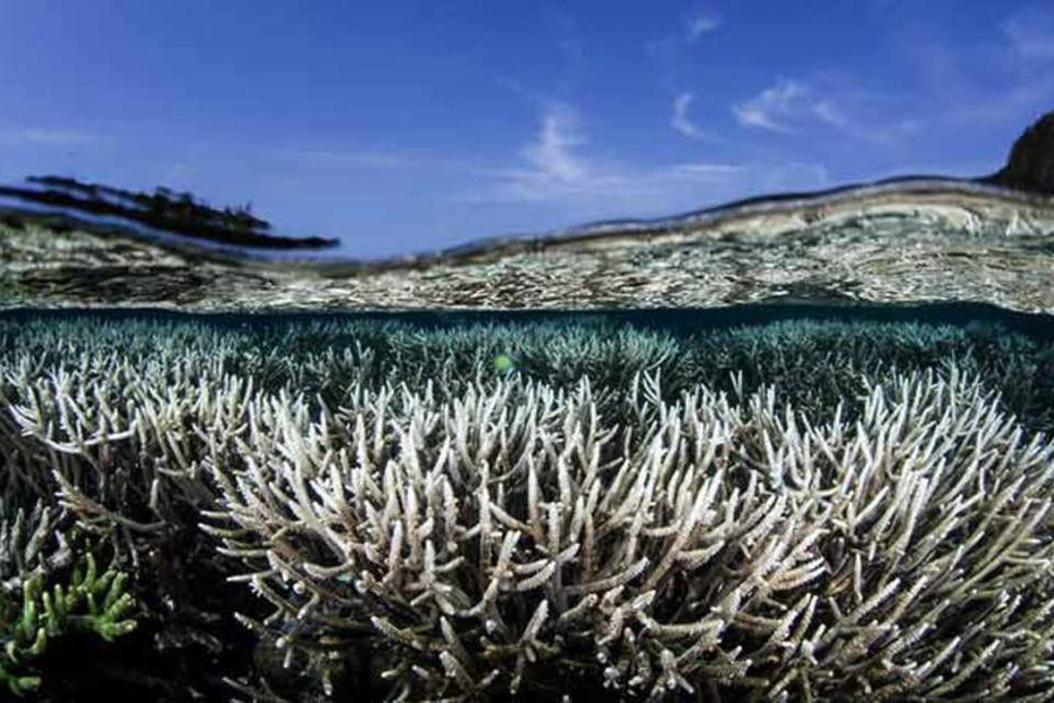 A química dos oceanos está mudando e isso não é nada bom