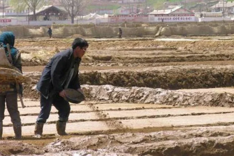 
	A Coreia do Norte sofreu um surto de fome que vitimou milh&otilde;es de pessoas nos anos 1990 e depende muito de suprimentos alimentares internacionai
 (AFP / Gerald Bourke)