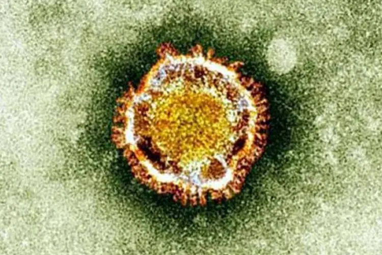 O coronavírus visto em um microscópio (AFP/AFP)
