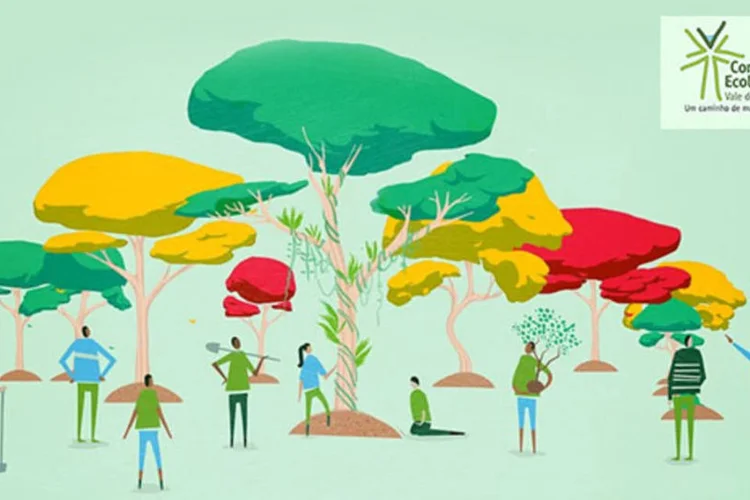 Goleada Ecológica: para participar, basta acessar o site da iniciativa e doar R$ 15 (Divulgação)